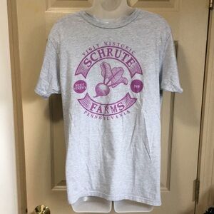 Official The Office M Visit Historic Schrute Farms B&B Pennsylvania gray T